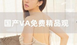 va国产,探索神秘东方的瑰宝与传奇